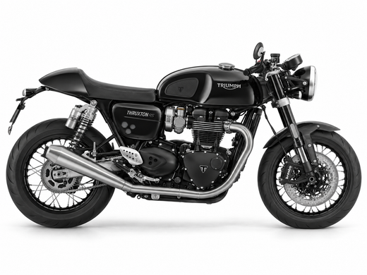 Triumph Thruxton RS - monochrome side profile